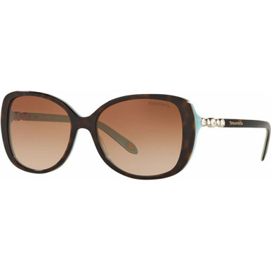 TF4121B - Havana and Blue/Brown Gradient Lenses