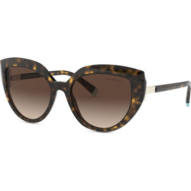 TF4170 - Havana/Brown Gradient Lenses