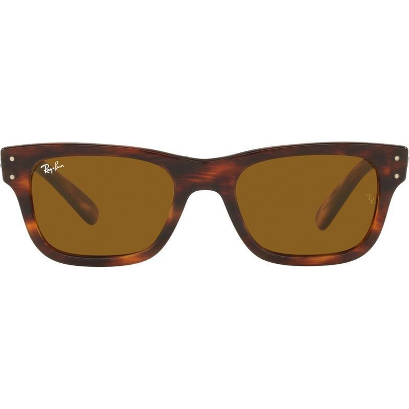 Ray-Ban Mr Burbank RB2283