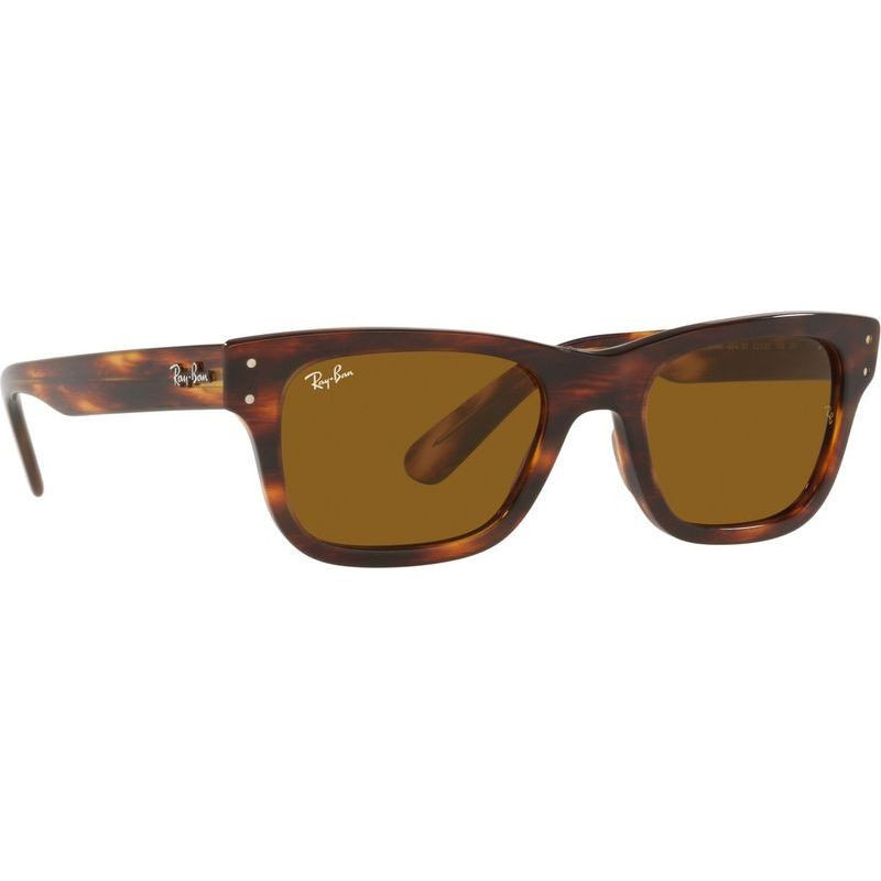 Ray-Ban Mr Burbank RB2283