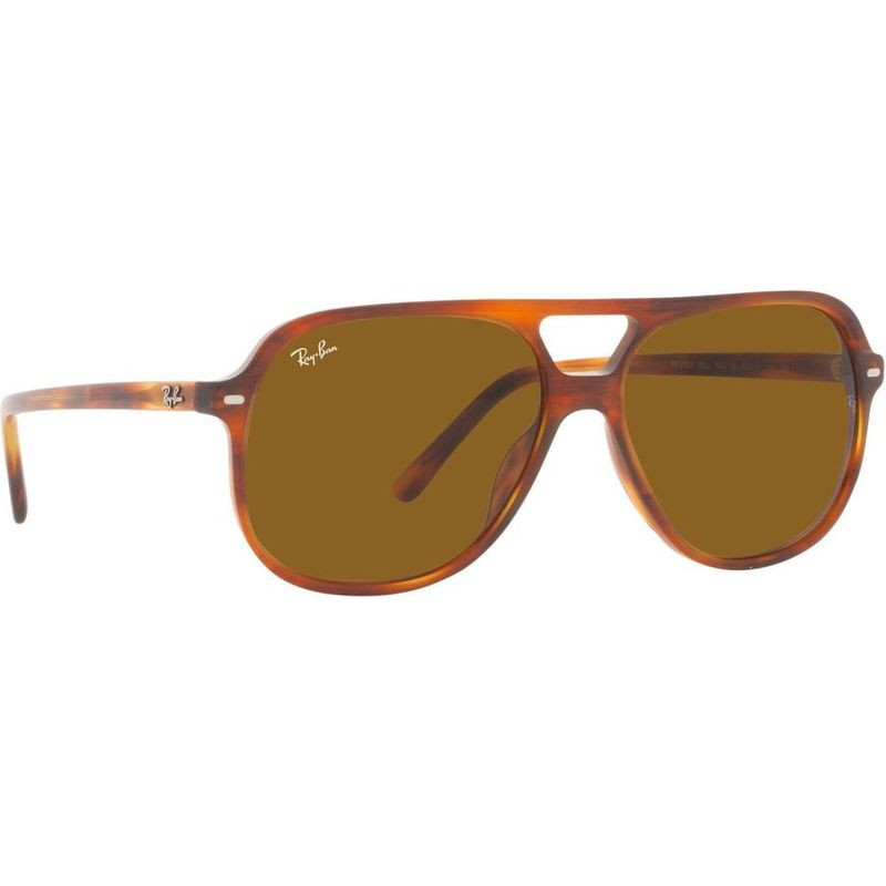 Ray-Ban Bill RB2198