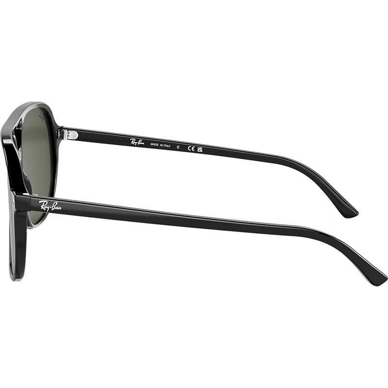 Ray-Ban Bill RB2198