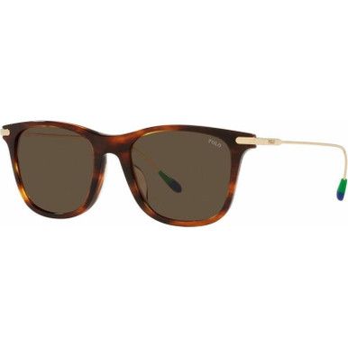 Polo Ralph Lauren PH4179U - Shiny Striped Havana/Brown Lenses