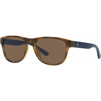 Polo Ralph Lauren PH4180U, Shiny Havana/Brown Lenses