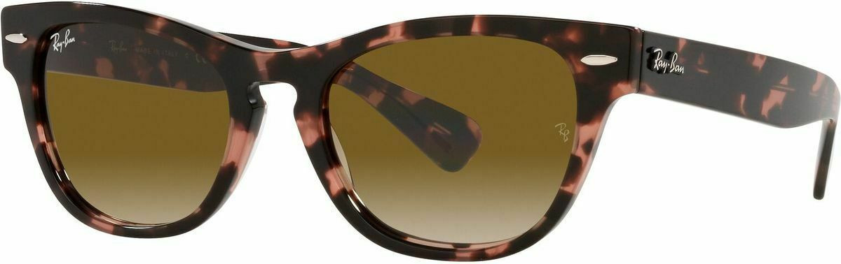 Ray-Ban Laramie RB2201