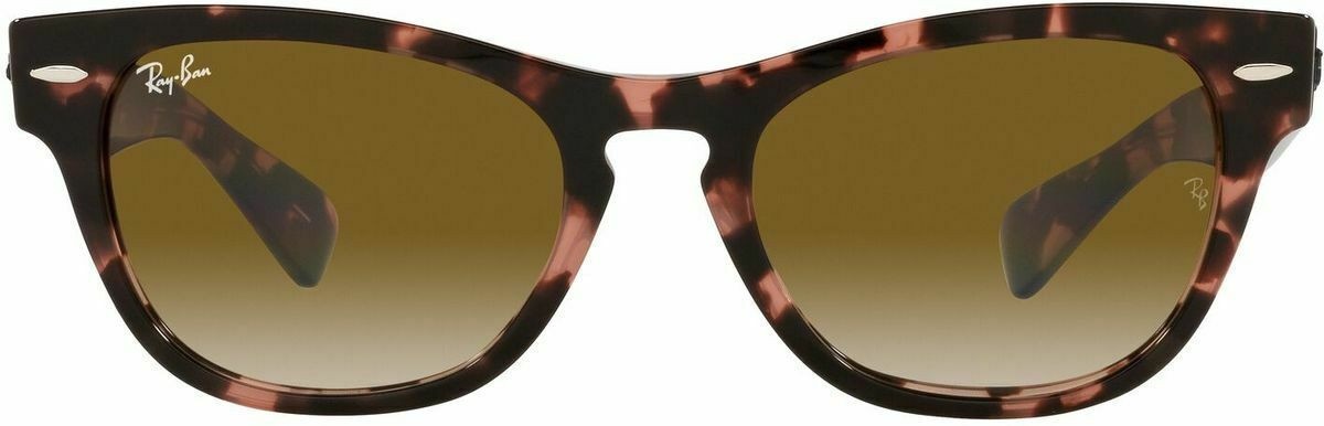 Ray-Ban Laramie RB2201