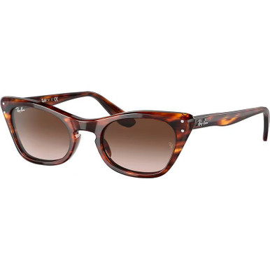 Striped Havana/Brown Gradient Lenses
