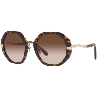 Bvlgari BV8242B - Havana/Brown Gradient Lenses