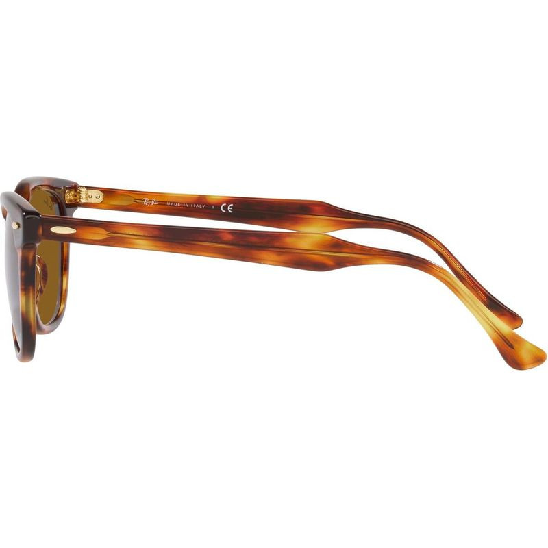 Ray-Ban Hawkeye RB2298