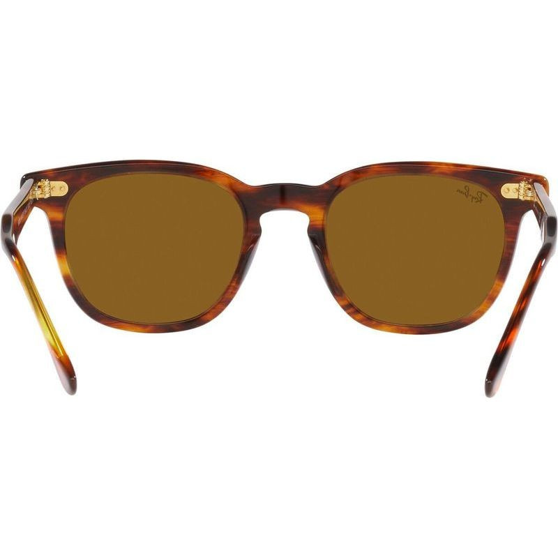 Ray-Ban Hawkeye RB2298
