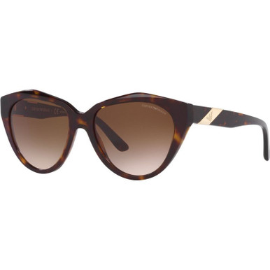 Shiny Havana/Brown Gradient Lenses