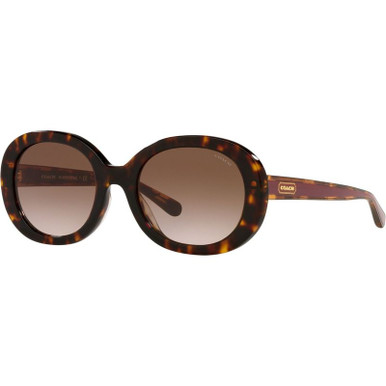 HC8337U - Dark Tortoise/Brown Gradient Lenses