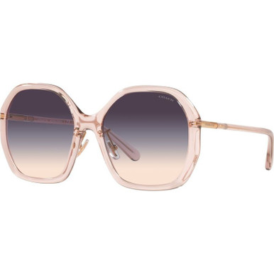 Coach HC8343 - Transparent Pink/Brown Blue Violet Gradient Lenses