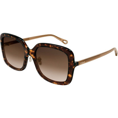 Havana/Brown Gradient Lenses