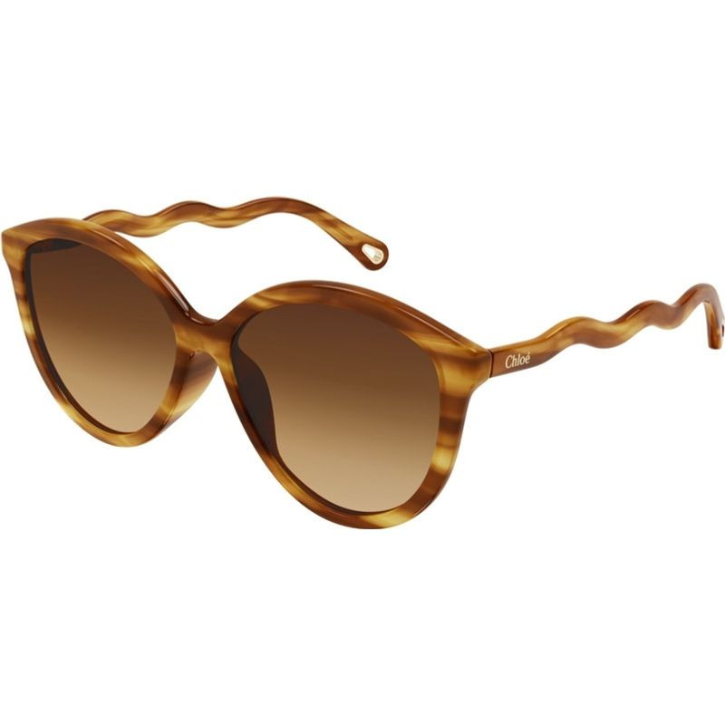 Chloe clearance havana sunglasses