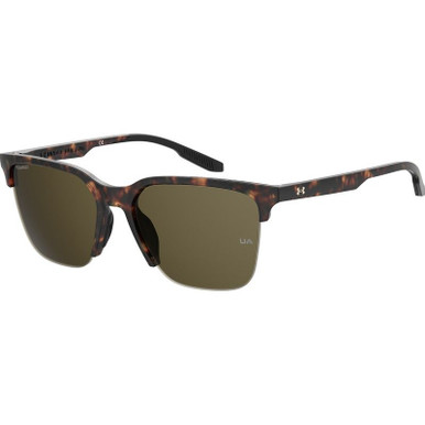 Matte Havana/Bronze Polarised Lenses