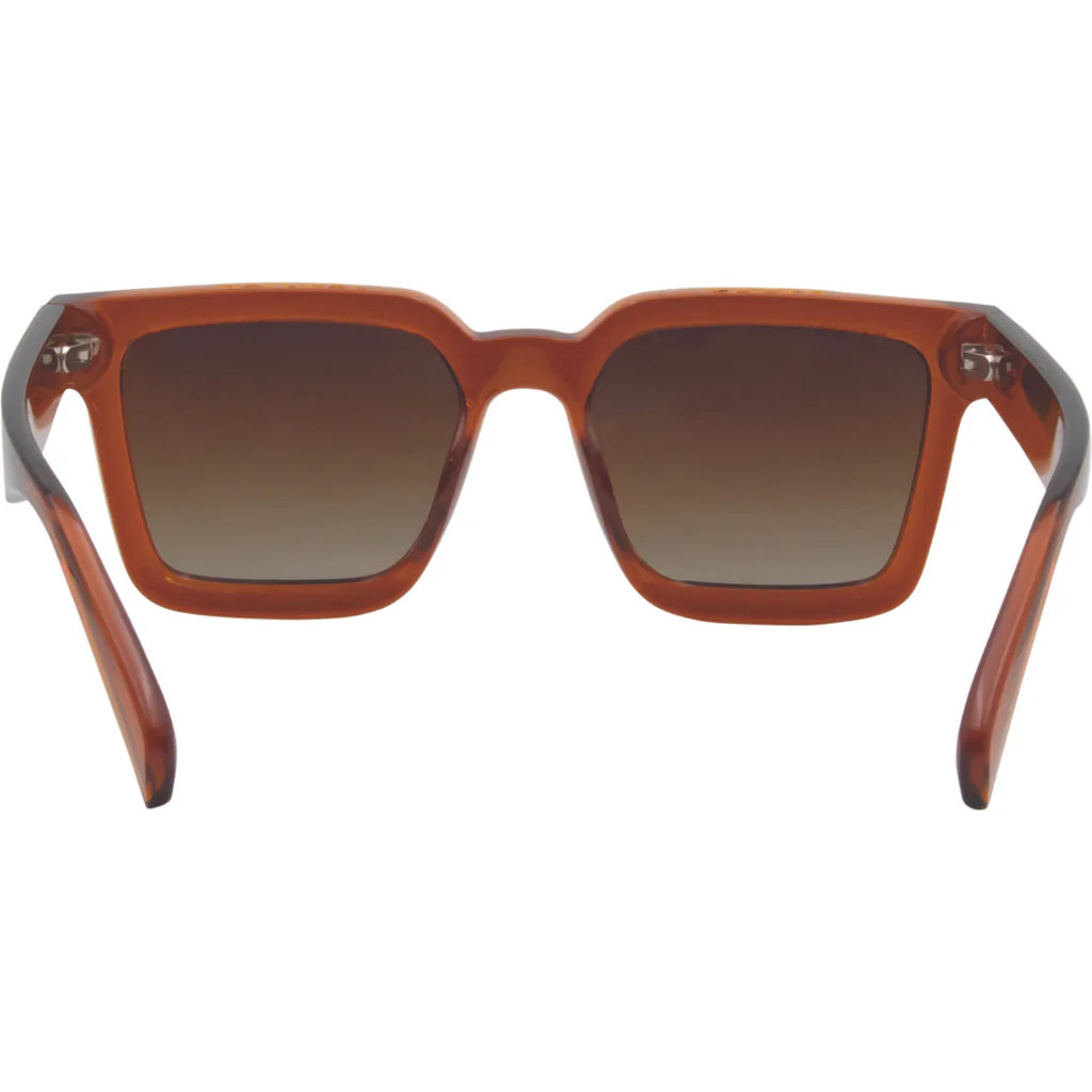 SIN Eyewear Top Shelf