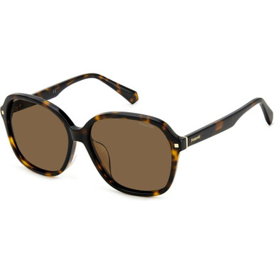 Dark Havana/Brown Polarised Lenses