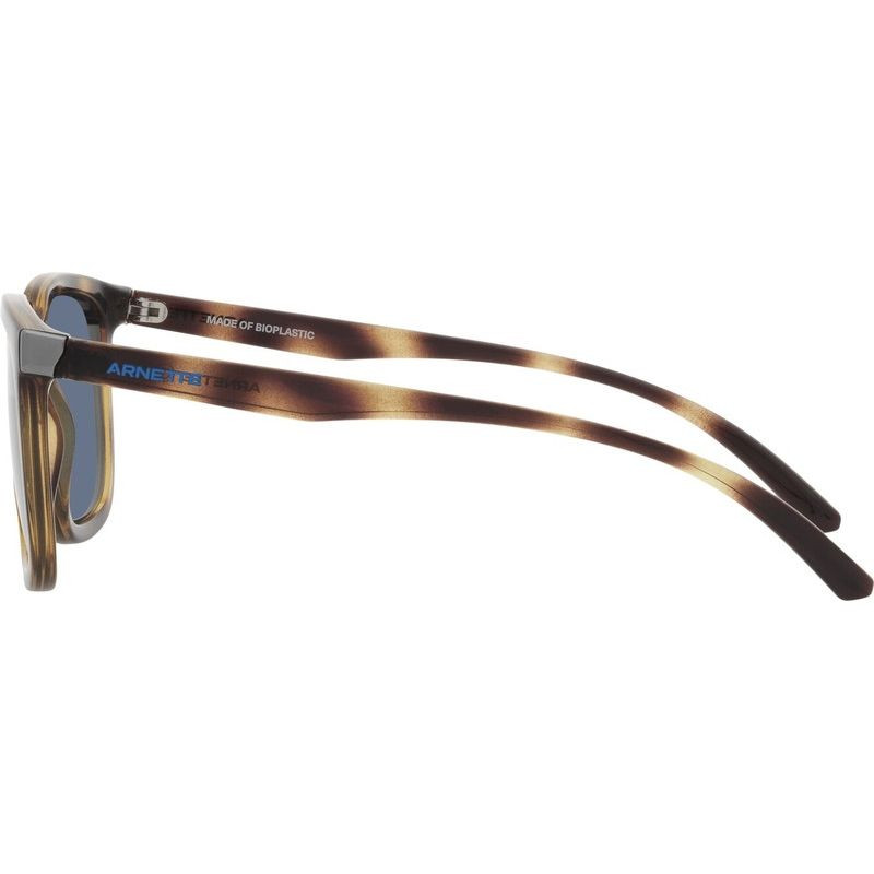 Arnette Plaka AN4306
