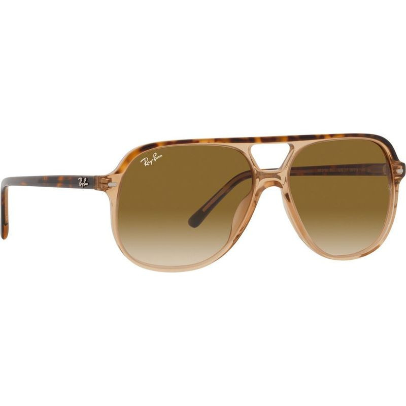 Ray-Ban Bill RB2198