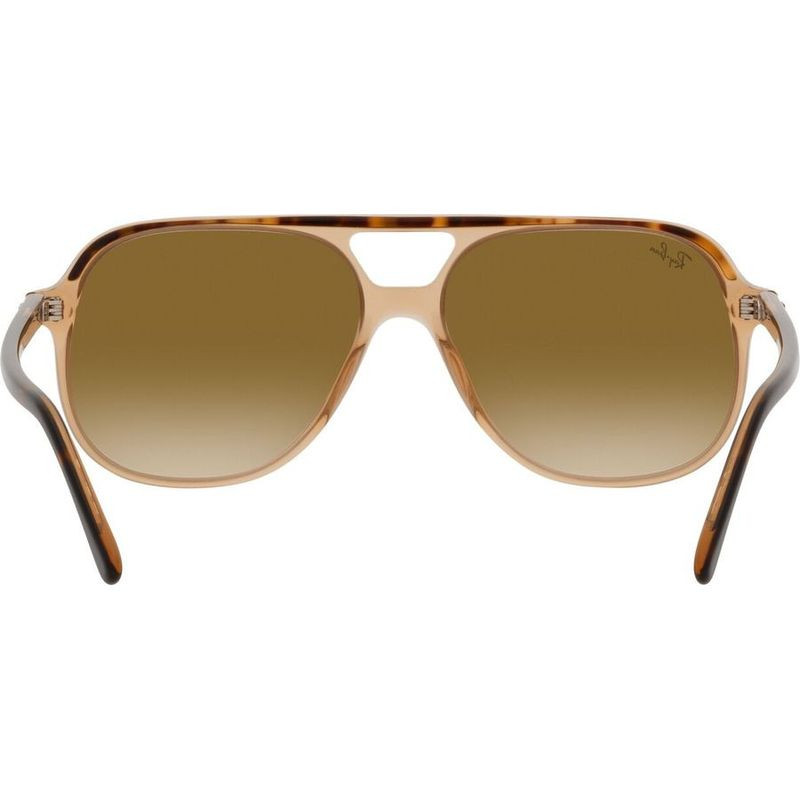 Ray-Ban Bill RB2198