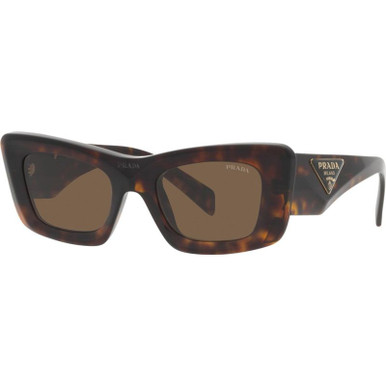 PR13ZS - Tortoise/Dark Brown Lenses