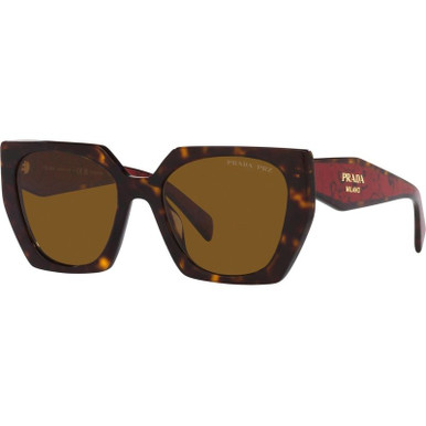 PR15WS - Tortoise/Dark Brown Polarised Lenses