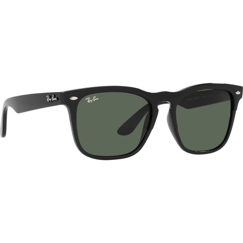 Ray-Ban Steve RB4487