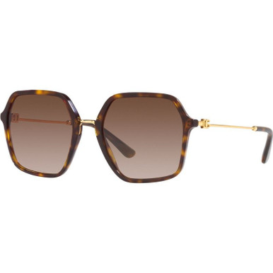 DG4422F - Havana/Brown Gradient Lenses