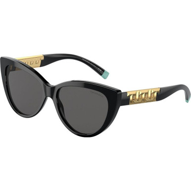 /tiffany-and-co-sunglasses/tf4196-419680013c56