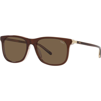 Polo Ralph Lauren PH4186U - Shiny Transparent Brown on Crystal/Brown Lenses