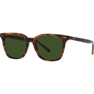 Polo Ralph Lauren PH4187 - Shiny Dark Havana/Bottle Green Lenses