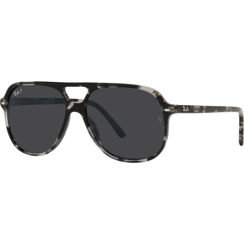 Ray-Ban Bill RB2198