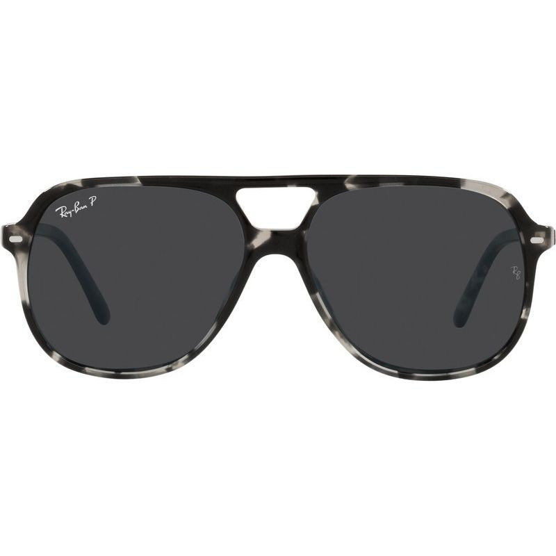 Ray-Ban Bill RB2198