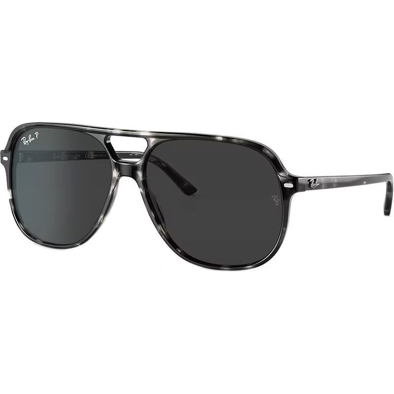 Ray-Ban Bill RB2198