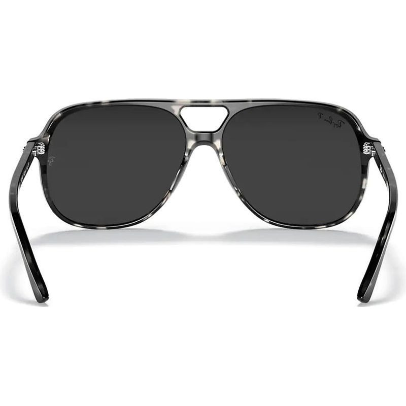 Ray-Ban Bill RB2198