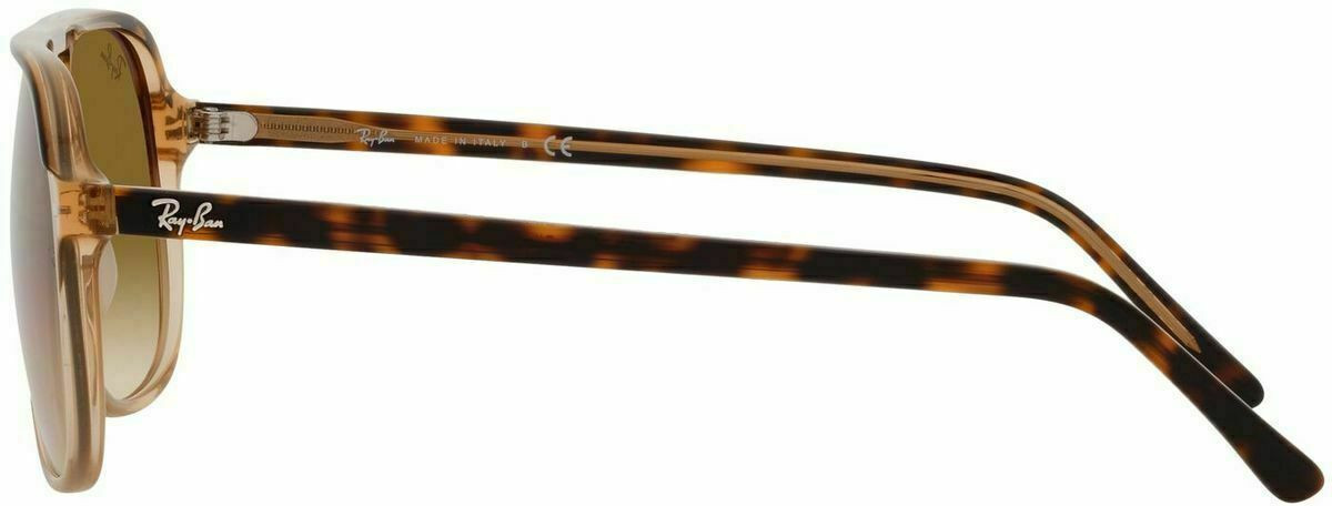Ray-Ban Bill RB2198F