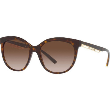 Havana/Brown Gradient Lenses