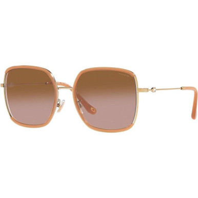 Coach HC7139BD, Light Gold and Amber/Brown Gradient Lenses