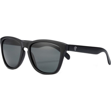 Black/Black Polarised Lenses