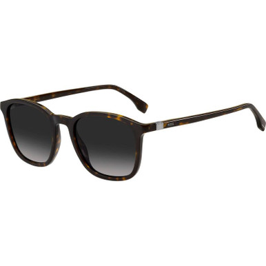 1433/S - Havana/Dark Grey Gradient Lenses