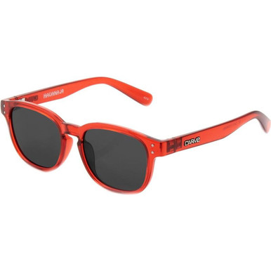 /carve-kids-sunglasses/havana-jr-4274