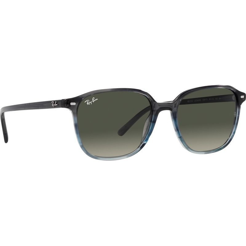 Ray-Ban Leonard RB2193