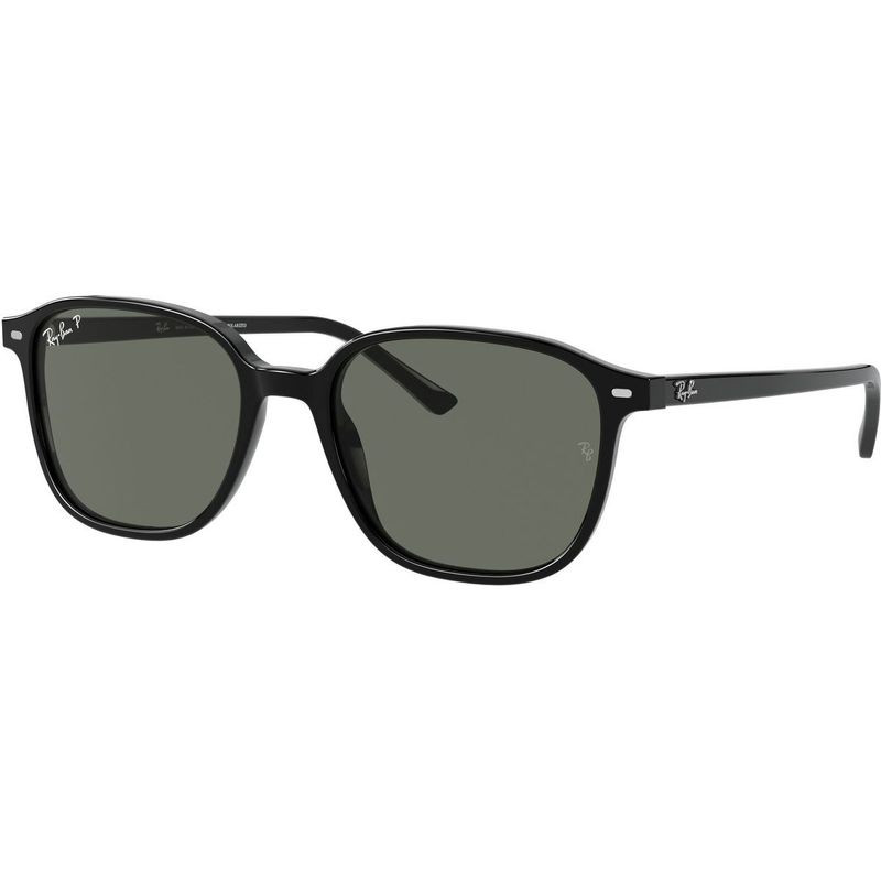 Buy Ray-Ban Leonard RB2193 Black/Green G55 Polarised | Zip