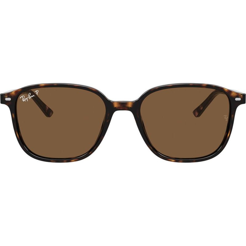 Ray-Ban Leonard RB2193