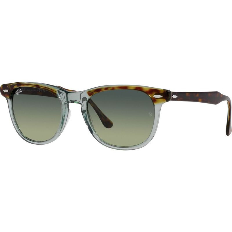 Ray-Ban Eagleeye RB2398