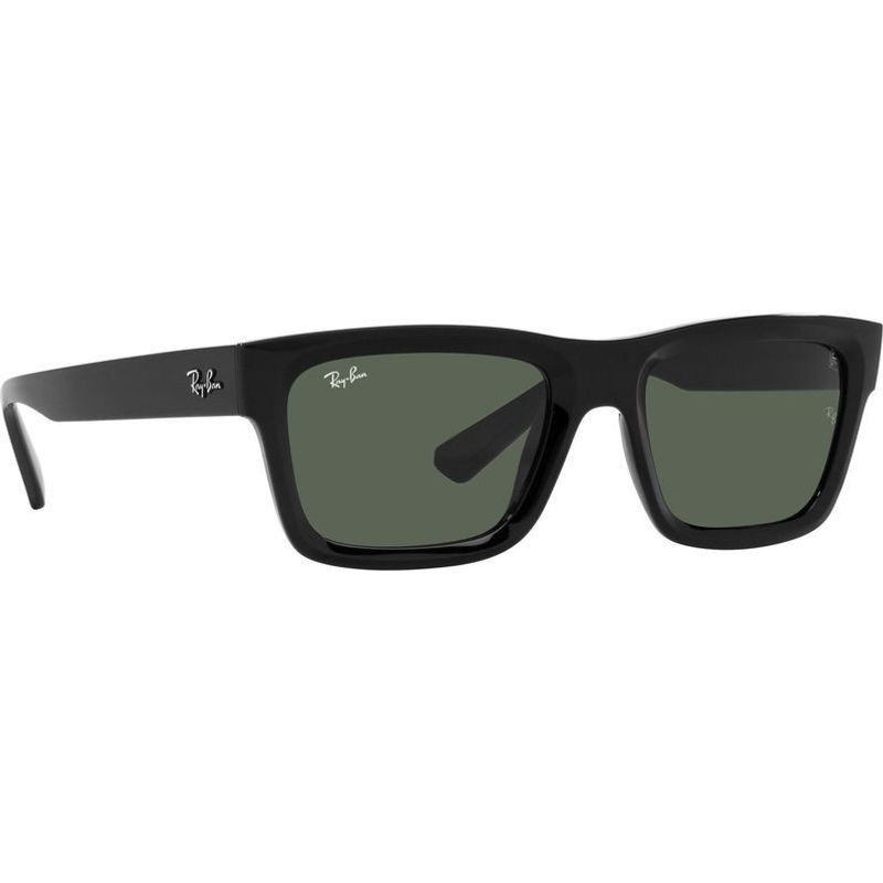 Ray-Ban Warren RB4396
