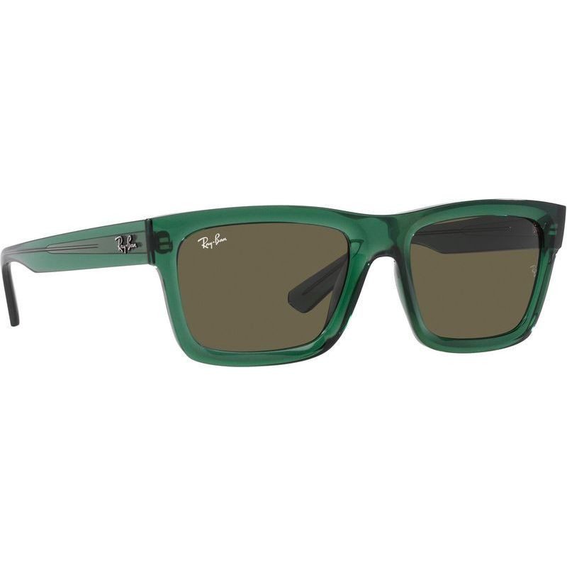 Ray-Ban Warren RB4396