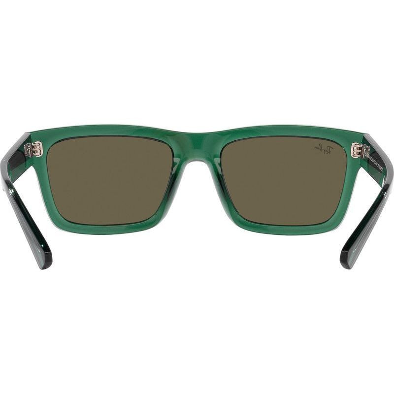 Ray-Ban Warren RB4396