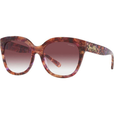 Coach HC8264 - Petal Tortoise/Purple Clear Gradient Lenses